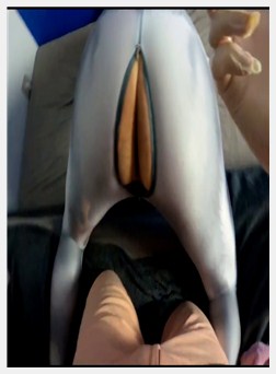 一个可爱的脾气在保藏服体中得到了疯狂，他妈的最大...