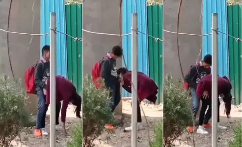 现在的学生都这幺开放了吗的!