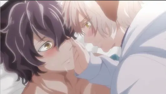 森林里的熊先生